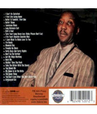 01 Muddy Waters - The Definitive Collection (CD)