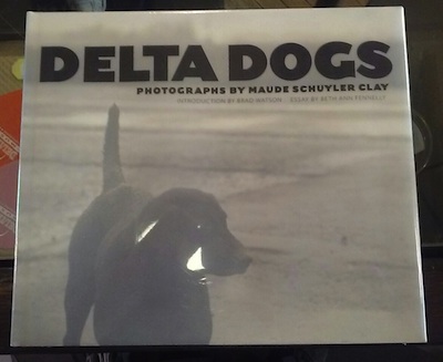 Delta Dogs